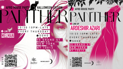 Sylence Panther Series - Image 1